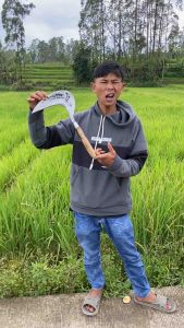 (Pengaritan) Sabit Dewi Bintang Super Tajam