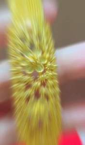 เลสข้อมือ ชีฟอง เศษทองคำแท้ หนัก 3 บาท ยาว 6-8 นิ้ว (1 เส้น) BJ31 สร้อยข้อมือ กำไลข้อมือ กำไลข้อมือคู่ กำไลข้อมือ หญิง กำไลข้อมือ ชาย กำไรขัอมือ กำไลคู่ กำไลคู่รักแฟน กำไร สร้อย ข้อมือ ทอง เลสข้อมือ ข้อมือ สร้อยข้อมือชาย