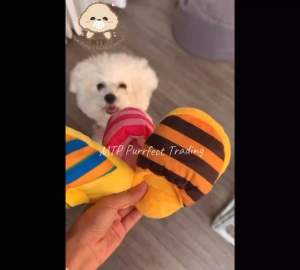 Pet Toy Dog Toy Cat Toy Puppy Cute Soft Plush Toy Squeaky Stuffed Toy 宠物幼犬狗狗猫咪发声玩具
