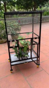 Lồng nuôi chim  vẹtpet thú cưng Kt: 500-700-1300