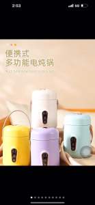 便携式小炖锅家用小型电煮锅宿舍煮粥神器多功能电炖盅煲汤炖煮杯