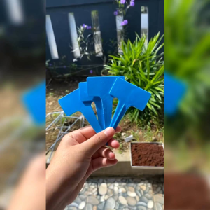 6 BUAH PENANDA LABEL/NAME AND DATE TAG TANAMAN HIAS