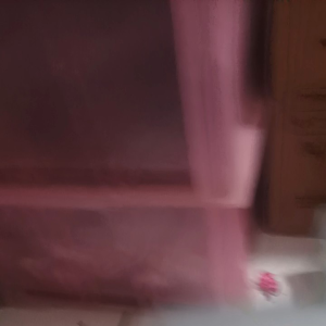 PrimaXp SAE 20W-50: Perlindungan Mesin Terbaik untuk Performa Optimal