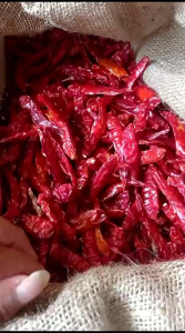 MURAH( 1kg )CABE RAWIT TEJA KERING ( TANPA TANGKAI ) KUALITAS SUPER PEDAS