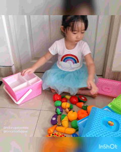 Keranjang Makanan /Eriko Anyam 200 Max +Samir