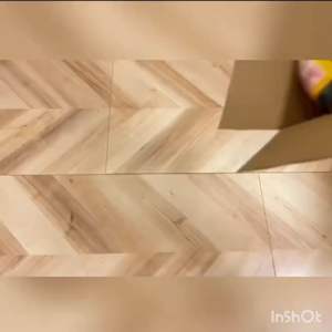 禛香 香菇肥牛 Musk mushroom beef soybean meat 23g