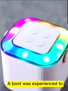 Speaker Karaoke 2 Mic & Bluetooth Mini Portable KTV