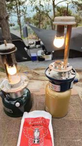 ใส้ตะเกียง ตราผีเสื้อ ขนาด 500-600 c.p.