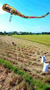 Knalpot Kawahara Netral bebek Universal Bunglon