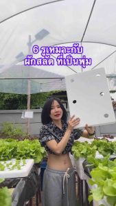 กล่องปลูกผักไฮโดรโปนิกกส์ พร้อมเจาะรู มือ 1 ใหม่จากโรงงาน