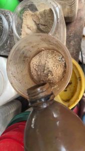 Rs522 อามิ อามิ อามิพลัส ธาตุอาหารเข้มข้น(ธาตุออาหารรองขยายน้ำเขียว)