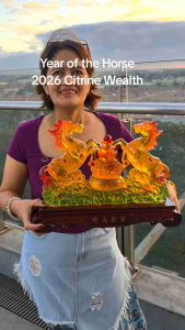 Giant Citrine Double Horse w/ Money pot three layered ingots red agate Attract business success & career Money Magnet Money Catcher wealth activator Lucky Charm Figurine