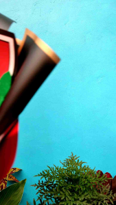 Buket hari guru merah kado guru hadiah guru buket mewah buket murah wraping chelophane