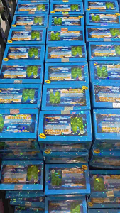 Traditional Tea Bintang Duwa Mustika Dewwa Green Tea Bags Blue Packaging