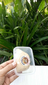 Kucur Mrt umpan ikan baung 100gr ( Free alat pasang umpan)