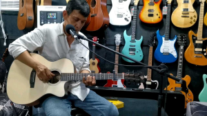 Phoebus Acoustic Guitars