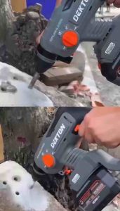 Máy Khoan Bê Tông Pin Dekton M21-RH2603CP Mầu Mới | Máy Khoan Pin Dekton 3 chức Năng Chân Pin M21 Thông Dụng