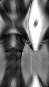 Mo.La deodorant body spray| natural deodorant| MALWISH