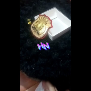 Kewenangan Security Gold Cembung Akrilik: Desain Keamanan Modern