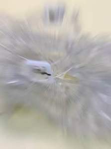 SHOES BY TIRA wedges jelly gesper/sepatu wanita import transparant glitter terbaru