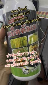 ฆ่าเชื้อรา ตะไคร่น้ำ กำจัดเชื้อโรค หยุดเชื้อรา แบคทีเรีย ล้างแผล ล้างใบ ล้างผล หยุดโรค ไม่ลาม พืชแข็งแรง พืชมีภูมิคุ้มกัน แบ็คคัลเลอร์