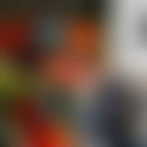 Windshield Vespa LX CARBON Printing Original Sectbill Windshield GP Vespa LX