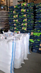 Benih padi unggul super genjah M70D berkualitas bersertifikat kemasan 5kg