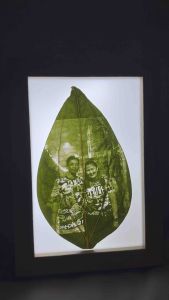 Leaf Engraving with 3 Colors Lights - Elegant Frame Design Highlighting Leaf Patterns Ideal for Decorative Settings