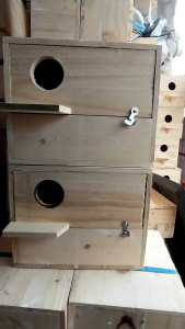 African lovebirds nestbox front door size 8x8x10 inches