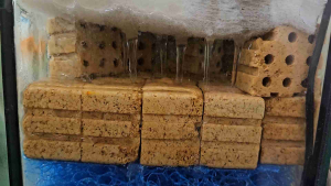 3D Probiotic Rubixs Cube หรือ Filters Cube  วัสดุกรองชีวภาพ ที่อยู่แบคทีเรียตู้ปลา ที่อยู่แบคทีเรียบ่อปลา