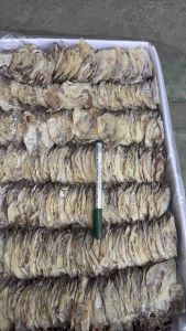 ปลาหมึกผ่าA6ปลาหมึกผ่าเอ6ขนาดเล็กตัวกำลังทานขนาด120กรัม