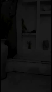 Z Set Hijab Gamis Wanita Raudha Silk Mix Crincle Premium