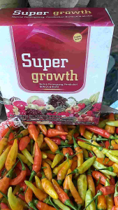 PHOSPATEKALIUMCALSIUM.super growth pupuk nutrisi perangsang pembobot bunga dan buah produk:ishikawajima yokado japan