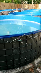 kolam terpal bulat diameter 2 meter