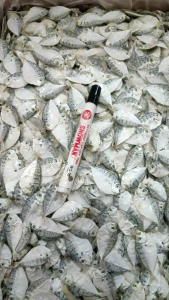 IKAN ASIN PIRIK KEMASAN 1000GRAM MURAH