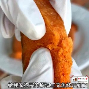 Freeze-dried Pet Food Salmon Meat Pet Cat&Pet Dog Wet Dry Supplement/Pet Cat Treats&Dog Treats/Makanan Kuching宠物高端冻干三文鱼块