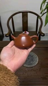 Ấm tử sa Nghi Hưng Thạch Biều thủ công khoáng tiểu môi diêu chu nê 100ml