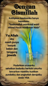 BAMBU HOKI SERI REZEKI: Tanaman Hias Terpercaya