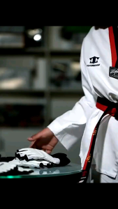 Sarung Tangan & kaki Pelindung Olahraga Taekwondo Beladiri Hand Foot Gloves Protector
