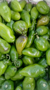 cabai gendot 1 kg // cabai gendot segar 1 kg // cabai gendot