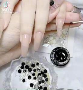 Cham hoa hồng khay 6 ngăn mix đá ngọc trang trí móng mẫu mới siêu đẹp HOT [ 𝐓𝐔́ 𝐀𝐍𝐇 𝐍𝐀𝐈𝐋 ]