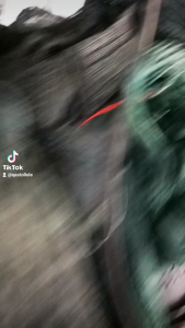 Jaring Ayam Jaring Pagar Ayam  Jaring Pagar Tanaman 25m 50m 100m