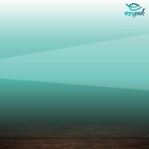 100pcs Ezypak Halal Verified SGS Food Safety Proof Aluminum Retort Stand Pouch Resist 130C