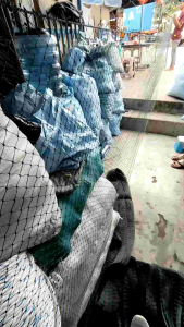 8 m x 10 m lubang 15cm x 15cm jaring pagar ayam atau bebek dll harga 1 pcs