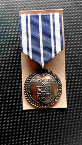 Medali Pdu PNS 10 X TAHUN / Satya lencana ASN PNS