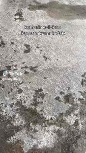 Steker T arde Broco 13830 / Terminal T Broco MJ Elektric