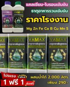 โปร 6 แถม 6 Cabmax แคลเซียมและโบรอนเข้มข้น + Vamax ธาตุอาหารรวมเข้มข้น