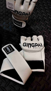 MMA Grappling Glove Muaythai Boxing Training