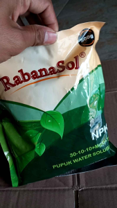 RABANASOL HIJAU 500GRAM NPK TANAMAN