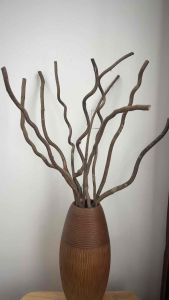 เถาวัลย์ เถาวัลย์แห้งธรรมชาติ ตกแต่งบ้าน แจกัน พร้อมส่งจาก กทมเลยจ้า